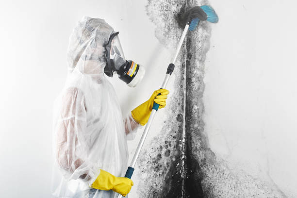 Best Mold-Related Health Consultation  in Kekoskee, WI