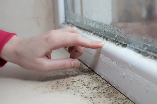 Best Dehumidification Services  in Kekoskee, WI