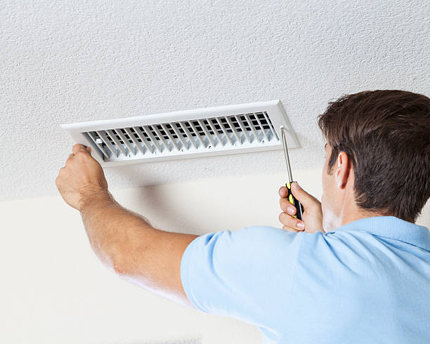Best Basement Mold Removal  in Kekoskee, WI