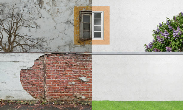 Best Real Estate Mold Inspection  in Kekoskee, WI