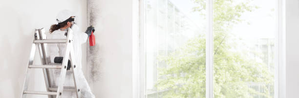 Best Industrial Mold Remediation  in Kekoskee, WI